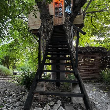Areni House B&B Exteriér fotografie